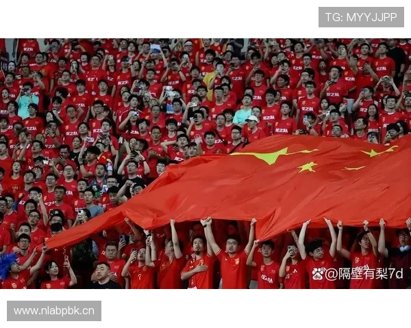 澳大利亚冲击2026世界杯出线形势分析:能否从亚洲区突围进军美加墨 澳大利亚冲击2026世界杯出线形势分析:能否从亚洲区突围进军美加墨